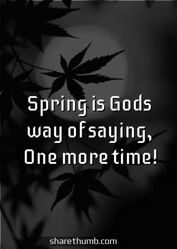 flower quotes spring